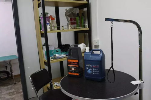 澄海醫(yī)療設(shè)備寵物店 開(kāi)啟科學(xué)養(yǎng)寵新紀(jì)元